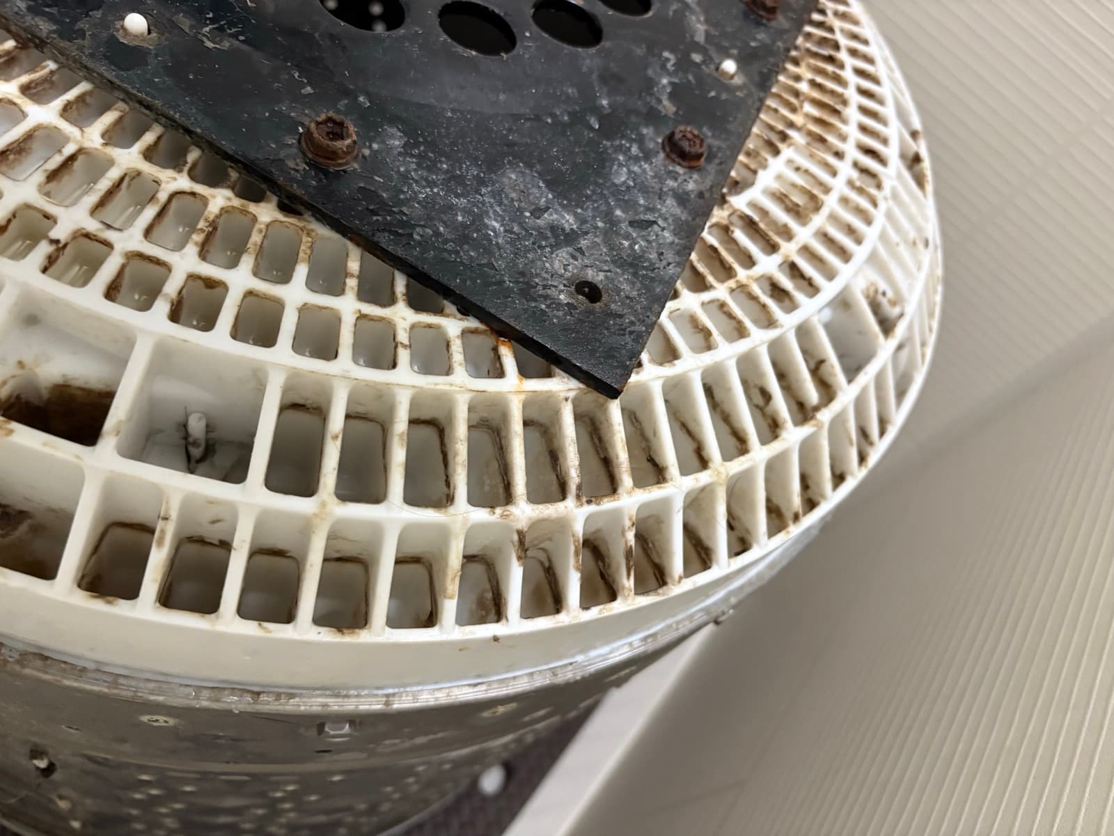 縦型洗濯機／洗濯槽の裏側